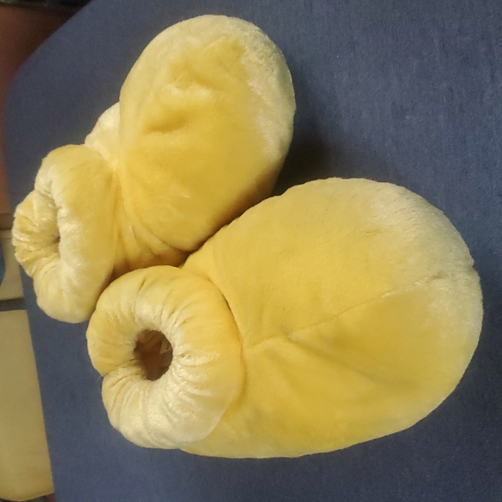 Disney Goofy Slippers